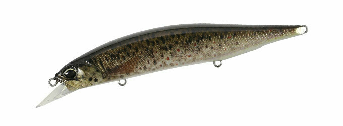 Jerkbait 120SP Pike Limited Brown Trout ND CCC3815