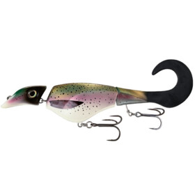 Colossus Curly 31 cm Rainbow Trout