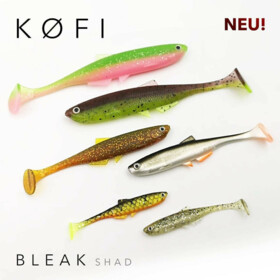 Kofi Bleak Shad 6 cm Real Roach