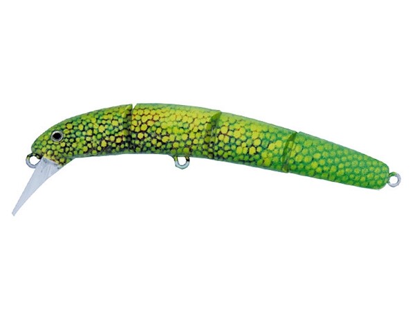 Hydram S Limited C225 Gold Dust Day Gecko
