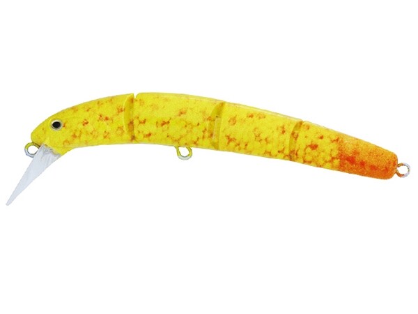 Hydram S Limited C226 Gold Dust Day Gecko Tail